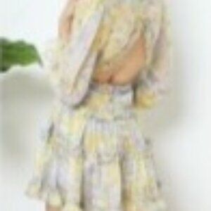 Floral Chiffon Long Sleeve Dress